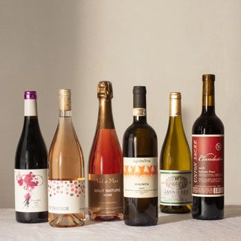 Plonk Wine Club for Enthusiasts