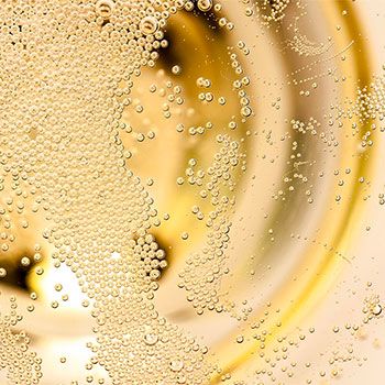 Sparkling Wine Club for Bubbly Lovers