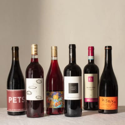 The Plonk Bottle Collection – PLONK BOTTLES