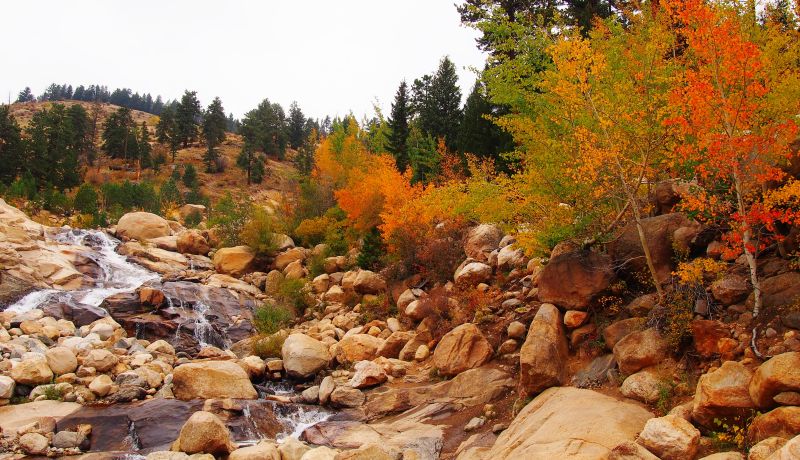 The alluvial fan in Rocky Mountain National Park has a great variety of color this fall.