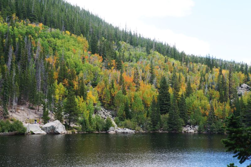 Aspens on the north side of Bear Lake beginning to change.