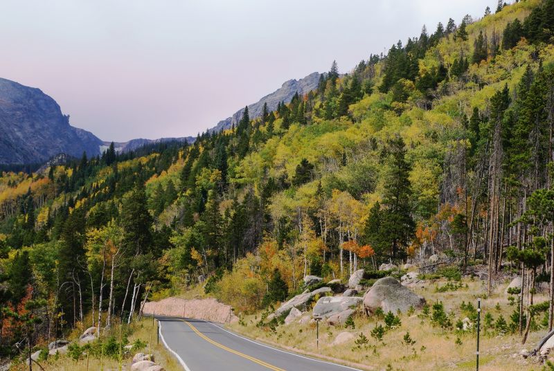 Aspens along the hillside near Bierstadt Lake Trailhead beginning to change.