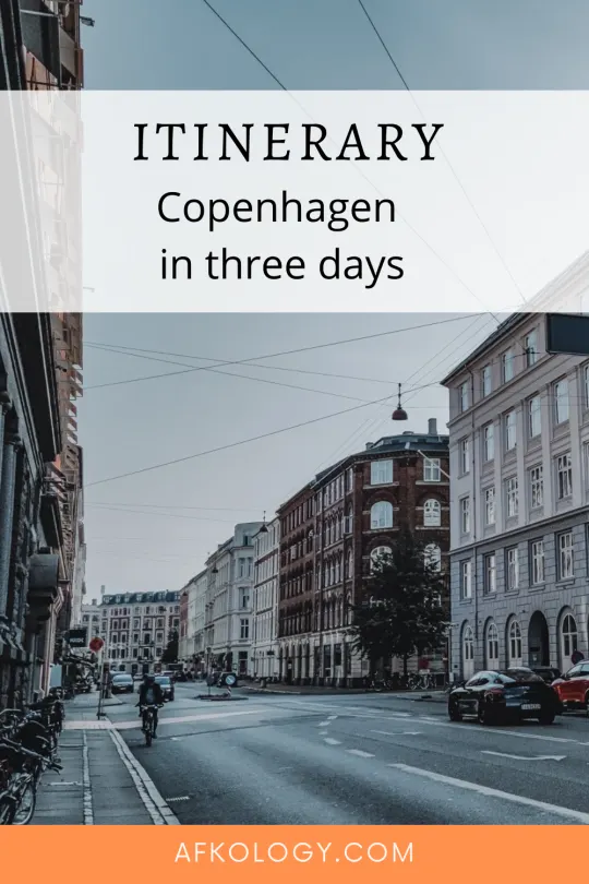 Copenhagen pin 03