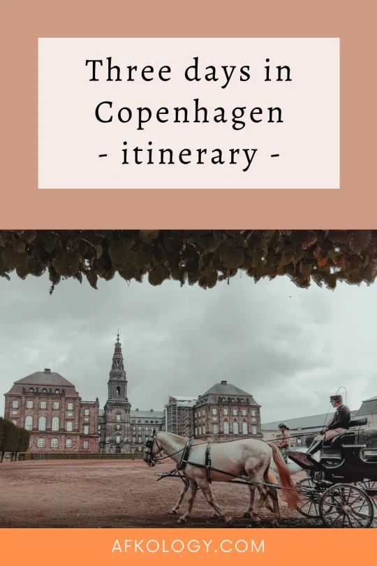 Copenhagen pin 04