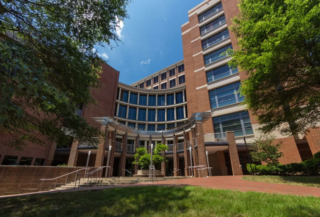 Medical school takes bold stand against DEI ideology