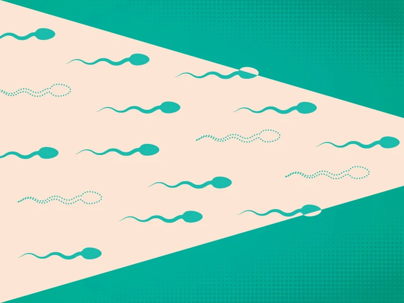 COVID vaccination and male fertility: the evidence