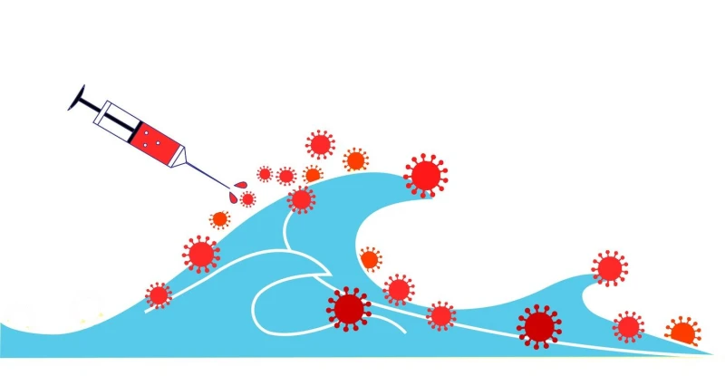 Summer COVID wave driven by vaccinated public