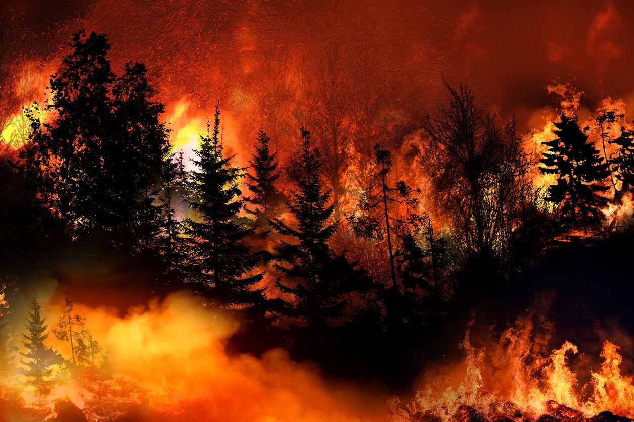 Man arrested for igniting forest fire ‘caused by climate change’ | Frontline News