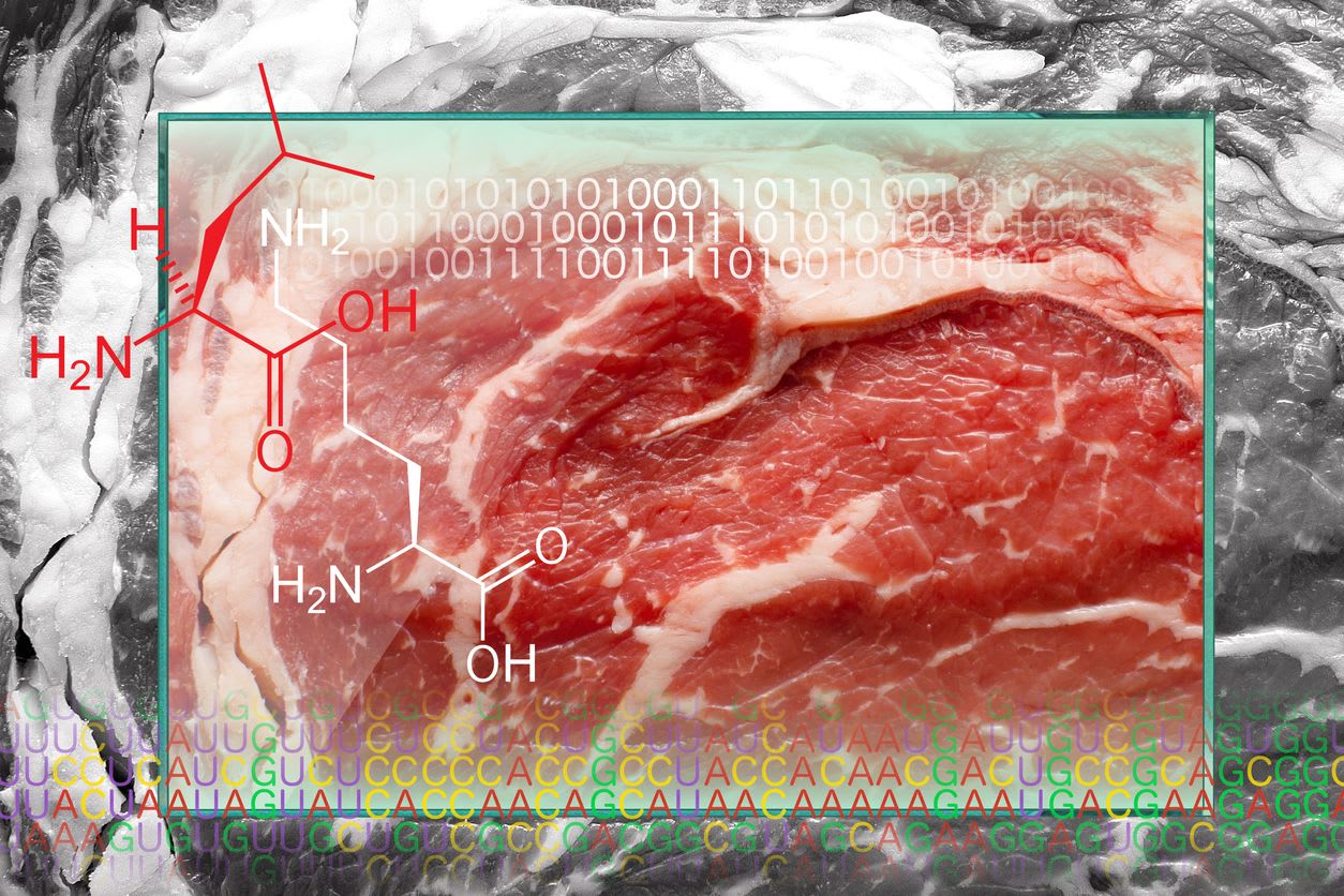 mRNA steak anyone? - Commentary