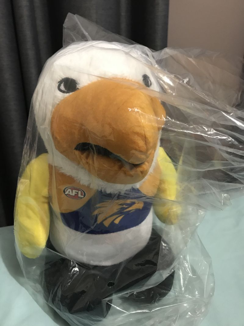 West Coast Eagles Singing Mascot Money Box Customer Photo