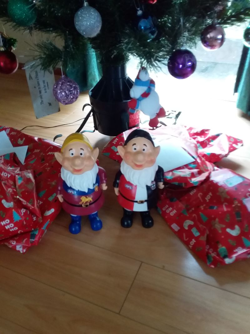 Brisbane Lions Garden Gnomes Customer Photo