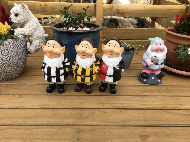 Collingwood Magpies Garden Gnomes Customer Photo