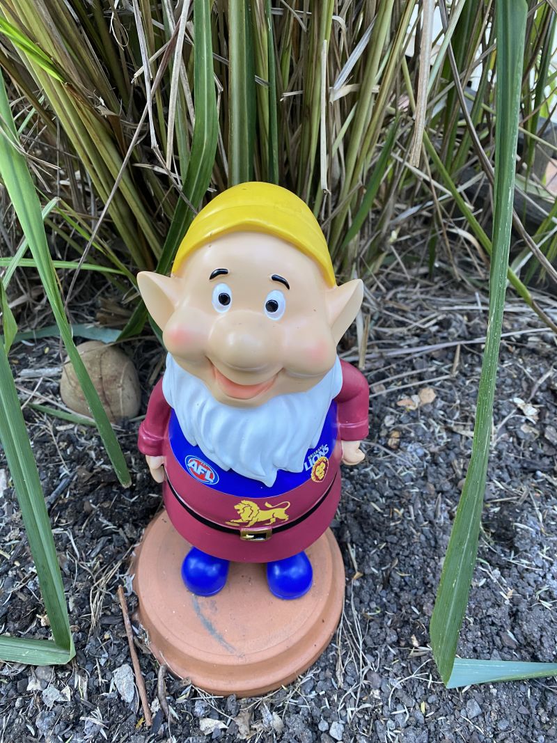 Brisbane Lions Garden Gnomes Customer Photo