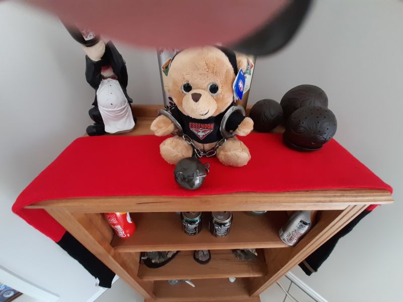 Essendon Bombers Sparkle Fanatic Bear Customer Photo