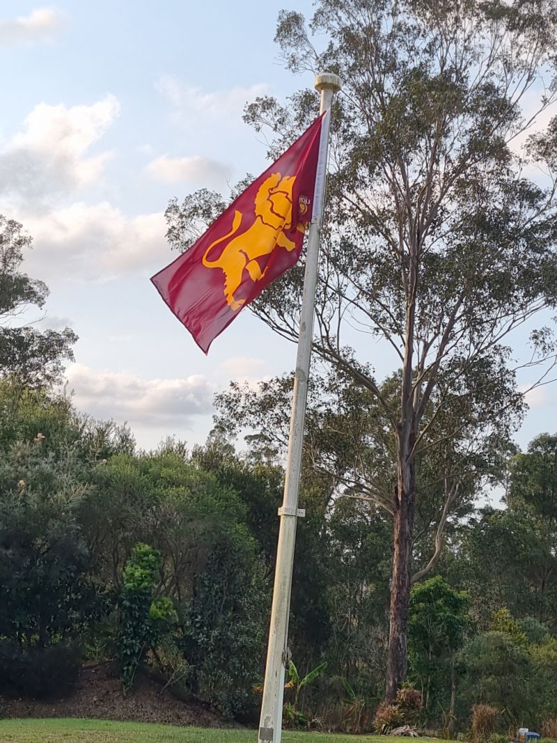 Brisbane Lions Flag Pole Flag Customer Photo