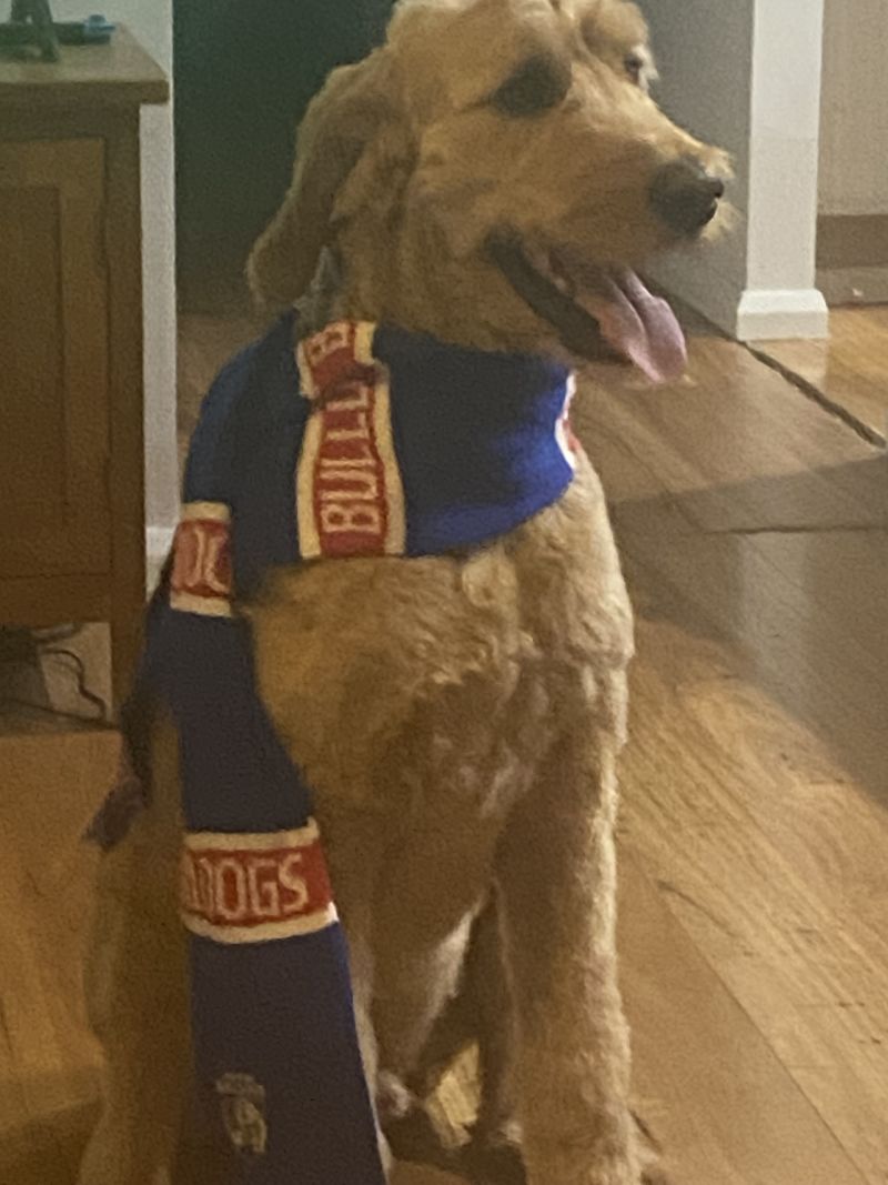 Western Bulldogs Super Fan Bundle Customer Photo