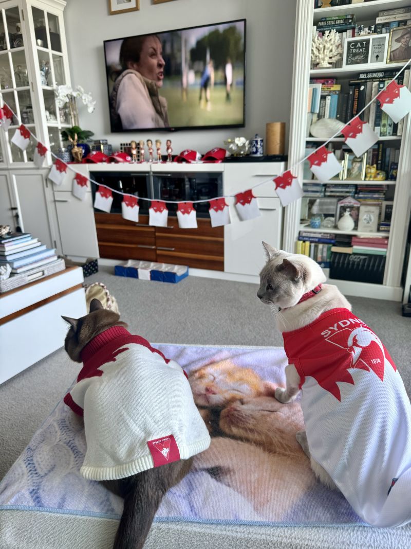 Sydney Swans Party Bunting Customer Photo