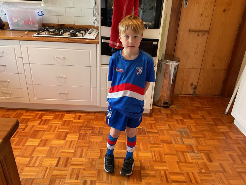 Western Bulldogs Elite Crew Football Socks Size: Small (Youths 2-8) Customer Photo