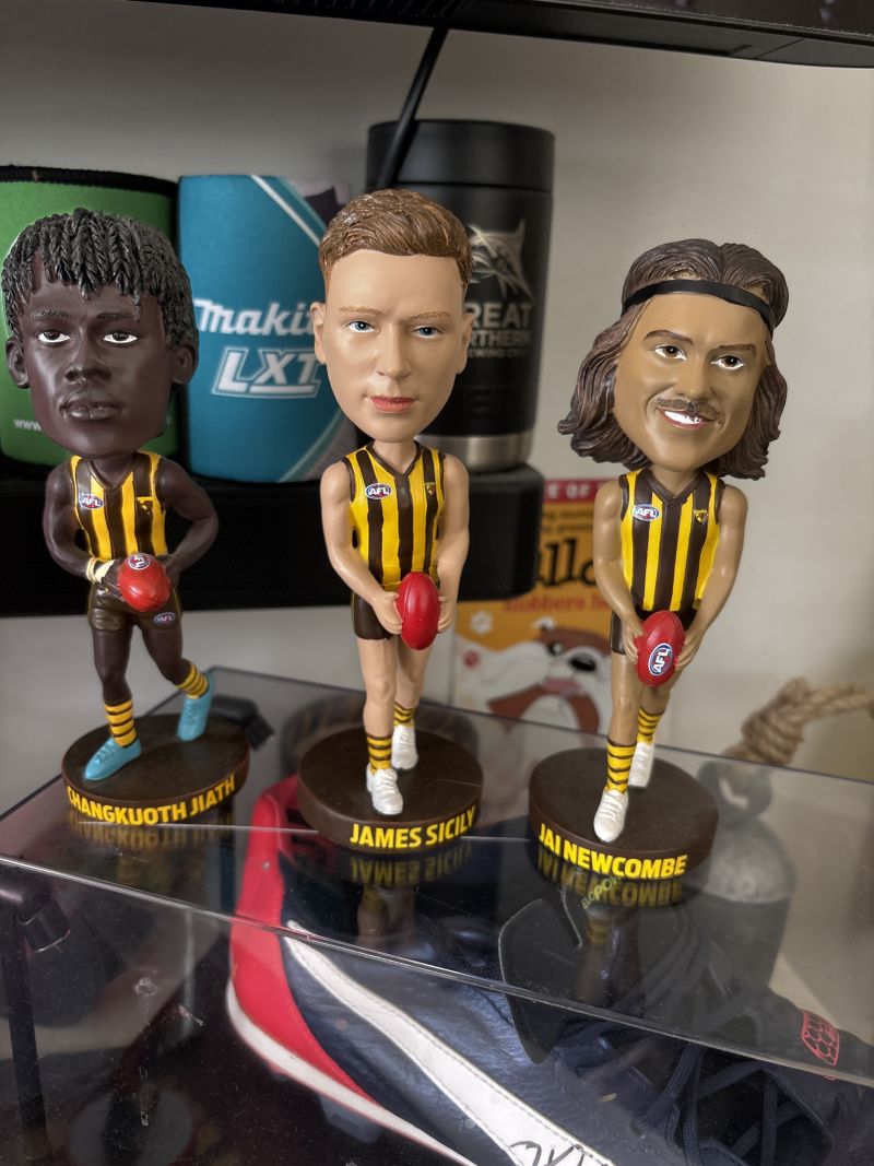 Hawthorn Hawks James Sicily Bobblehead Customer Photo