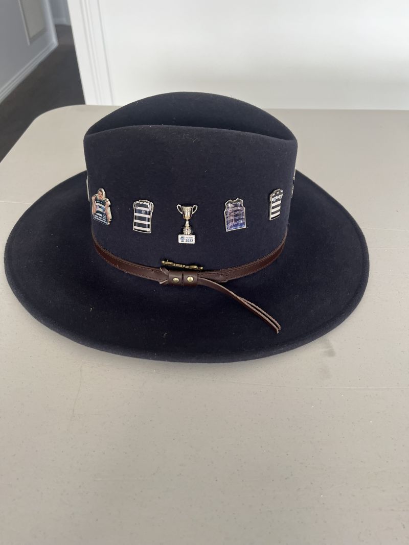 Geelong Cats Guernsey Designs Pin Set Customer Photo