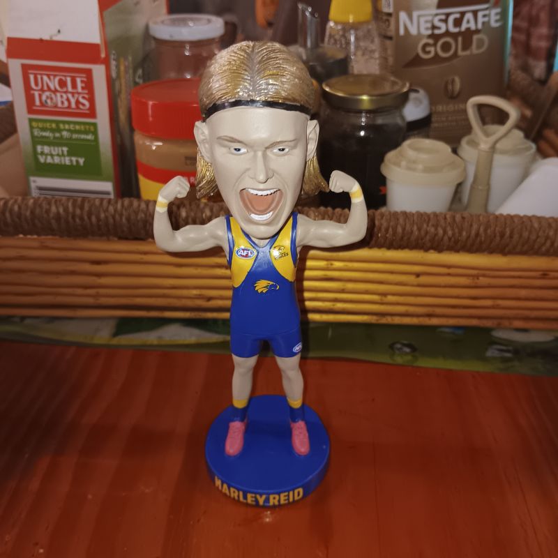 West Coast Eagles Harley Reid Bobblehead Customer Photo