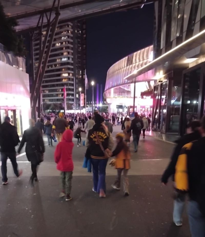 Hawthorn Hawks Mens Lockup Jacket Size:S Customer Photo