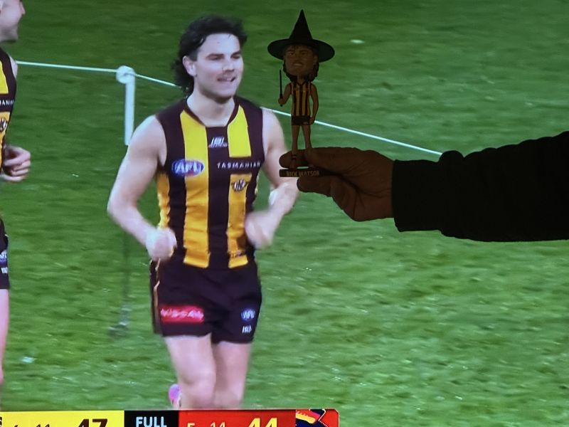 Hawthorn Hawks Nick Watson Bobblehead (Wizard Edition) Customer Photo