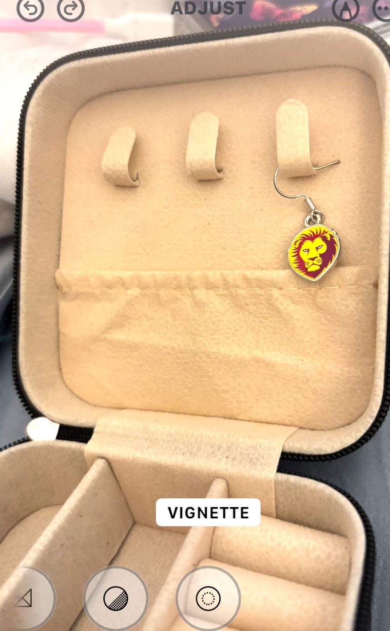 Brisbane Lions Colour Logo Earrings Customer Photo