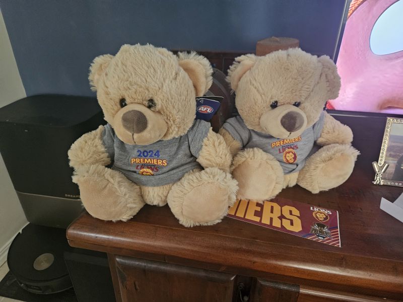 Brisbane Lions 2025 Premiership Bear with Hoodie Customer Photo