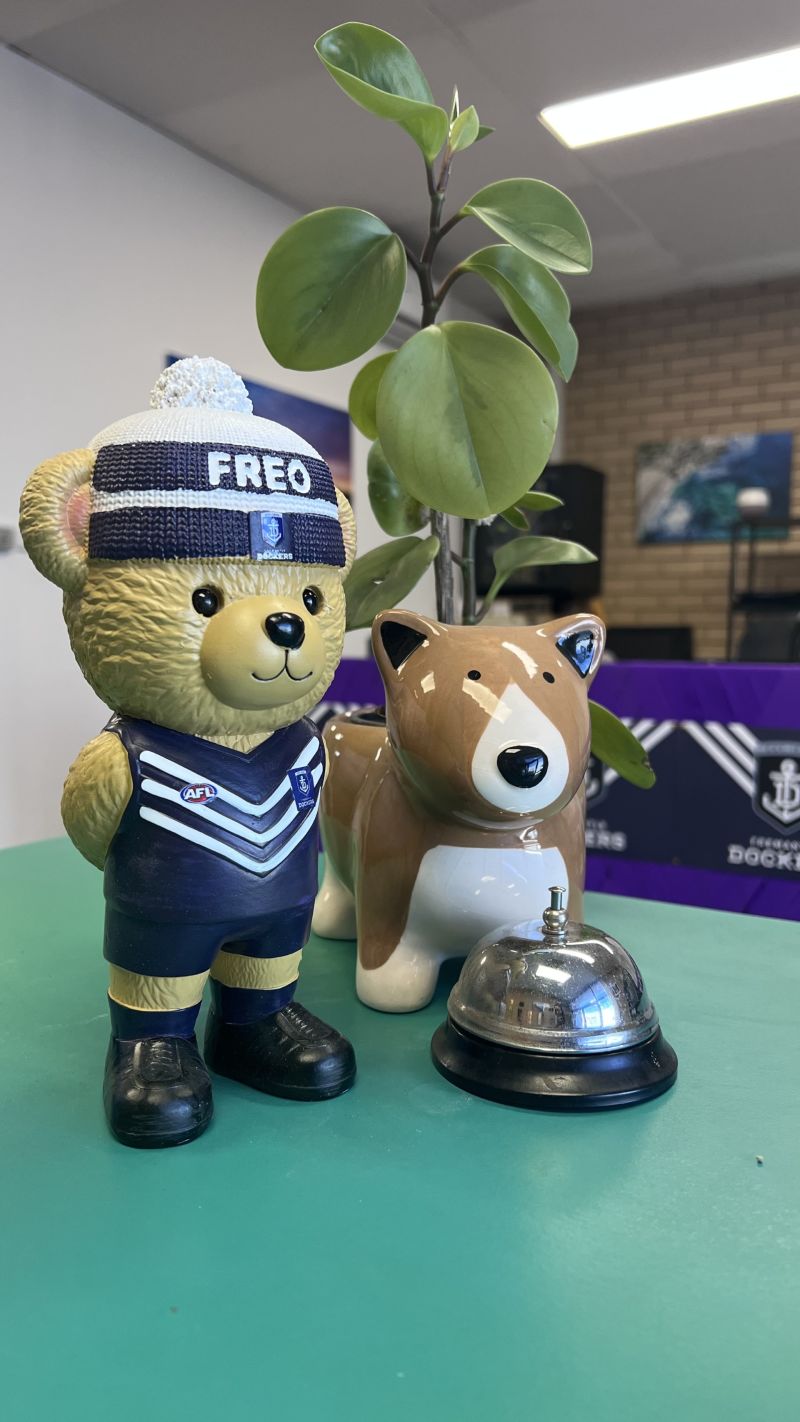 Fremantle Dockers Bear Statue Customer Photo