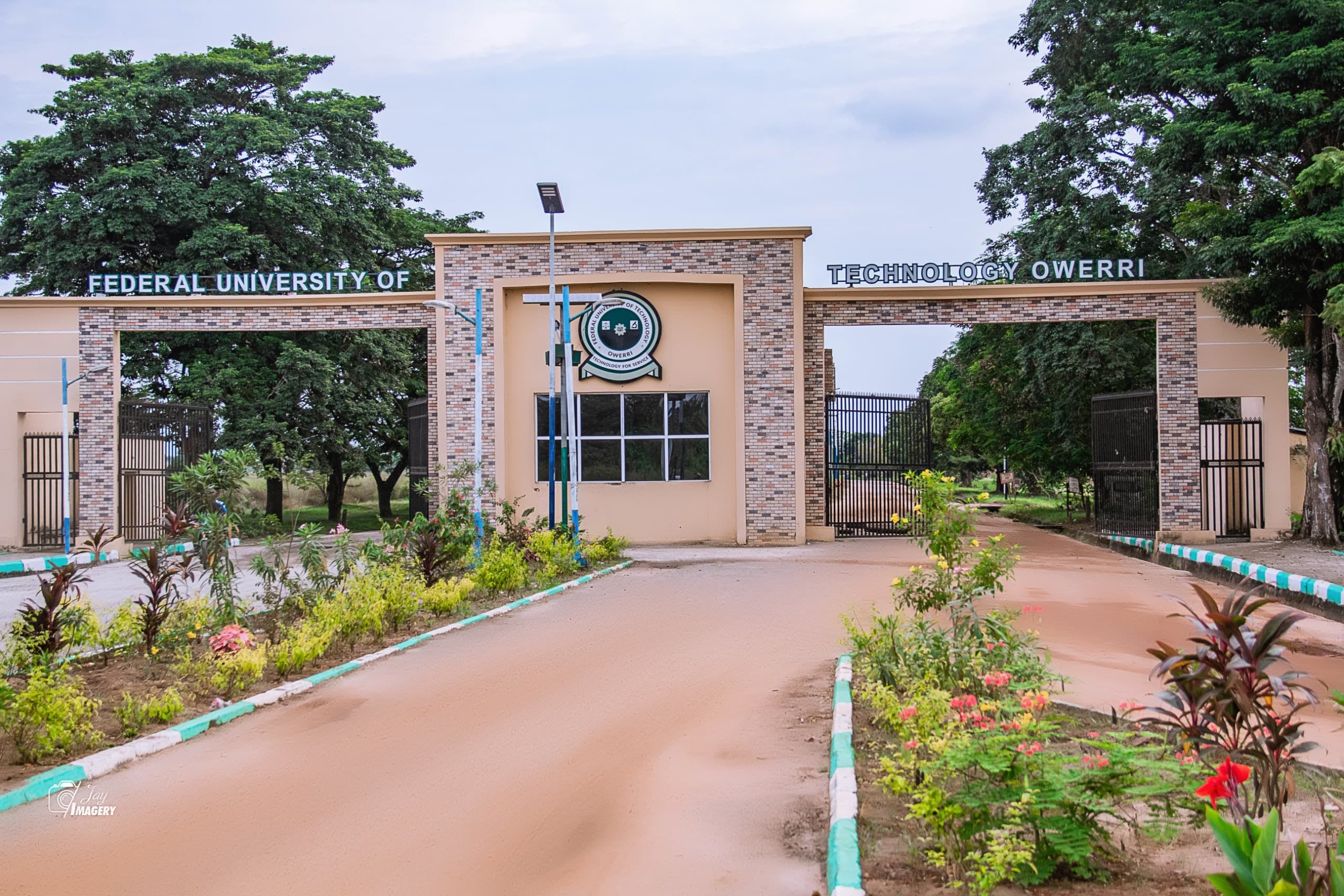 University campus building framed by green trees