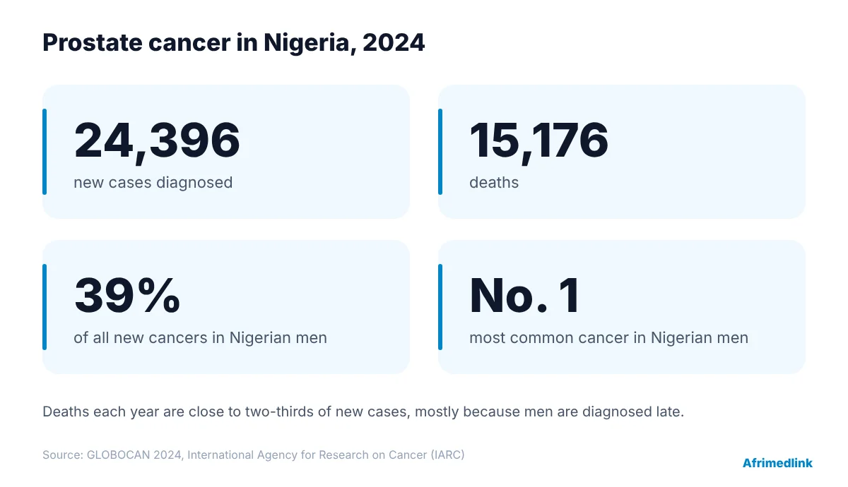 The case study: Nigeria at a glance. Source: GLOBOCAN 2024, International Agency for Research on Cancer.
