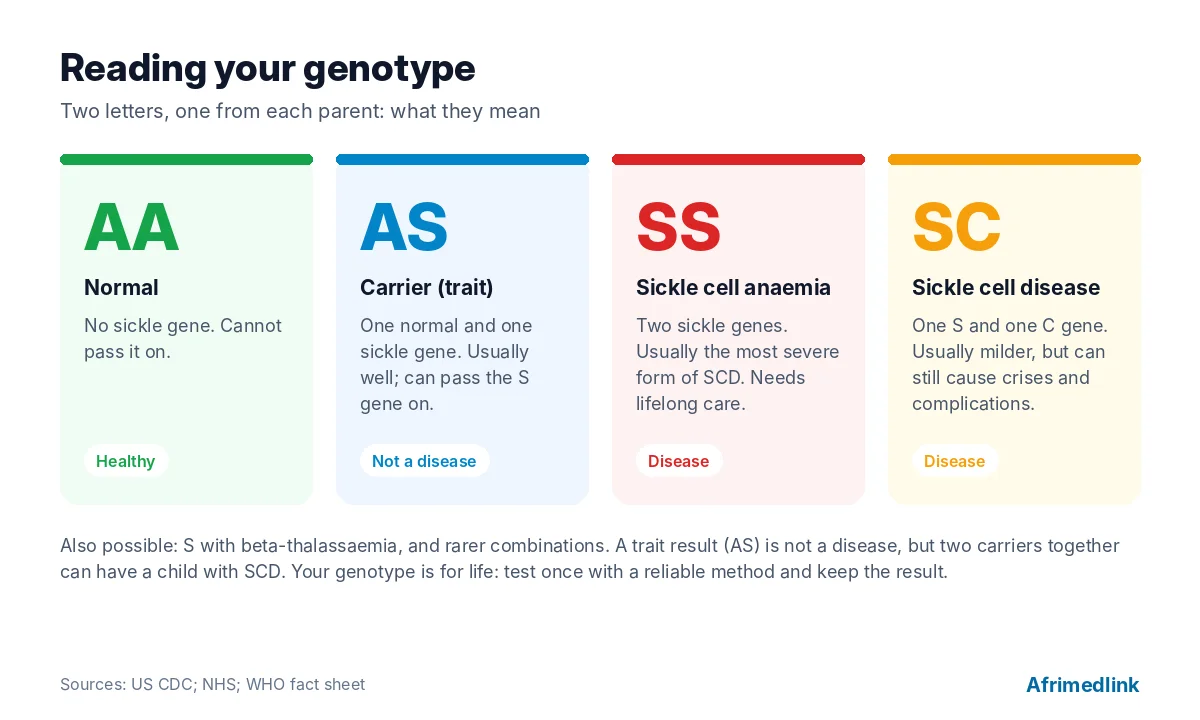 The four genotypes you will hear about in Nigeria: two are healthy states, two are forms of sickle cell disease. Sources: US CDC; NHS; WHO fact sheet.