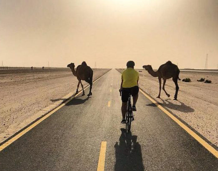 Al Qudra Cycle Track