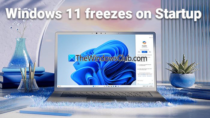 windows 11 freezes on startup