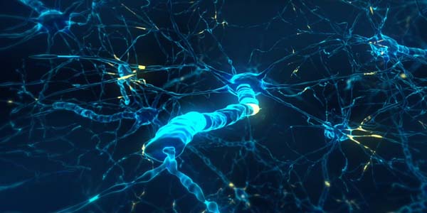 Red neuronal 3D