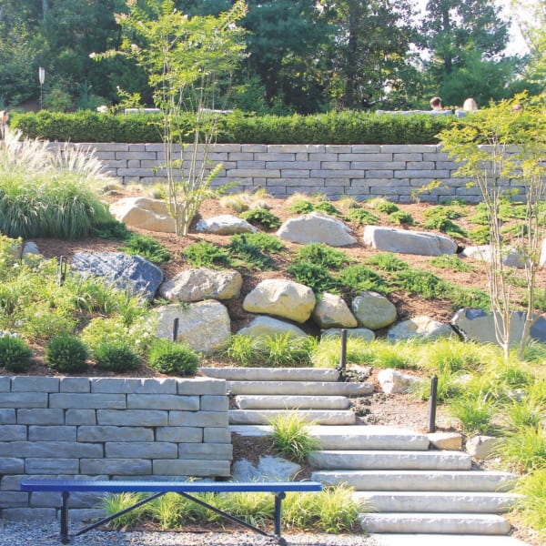 Rockface Steps