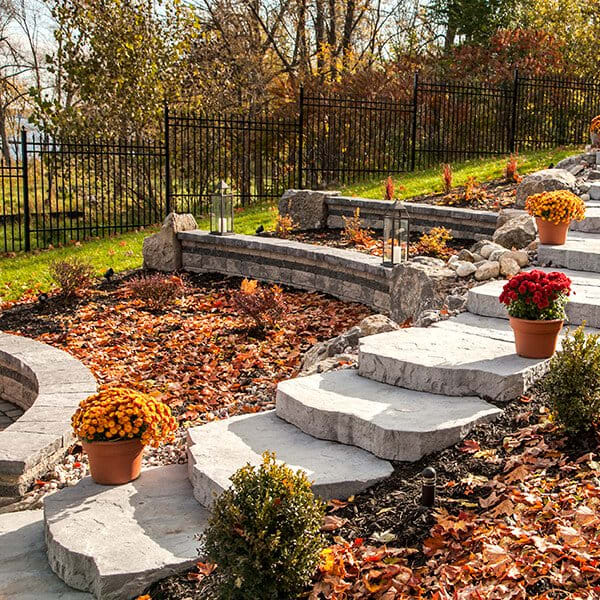 Maya Steps