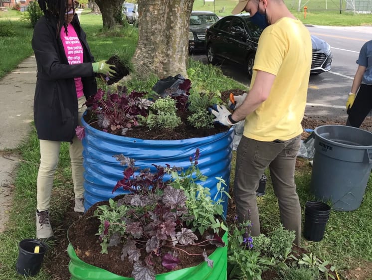 Planting