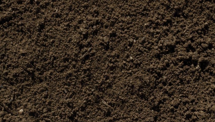 Topsoil Up-close shot
