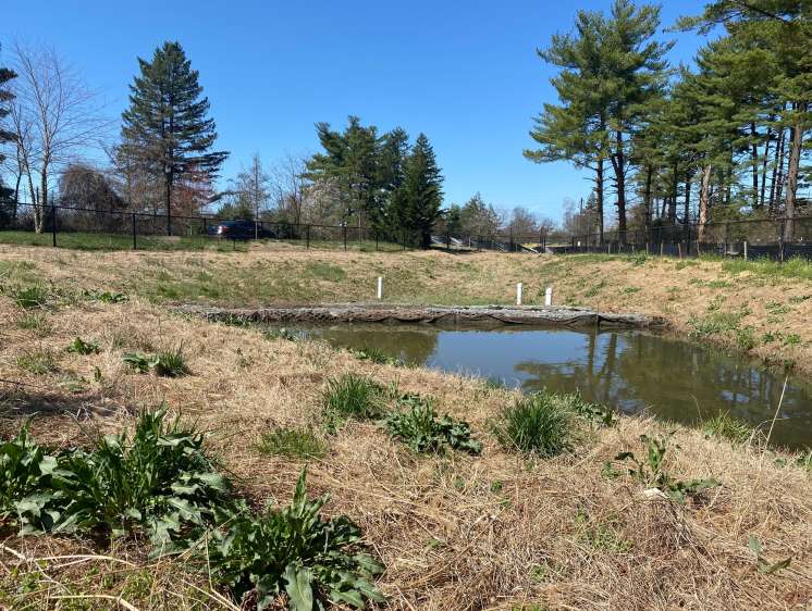 Bio-soil pond Bio-soil pond