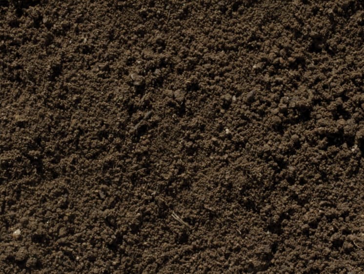 Topsoil Up-close shot