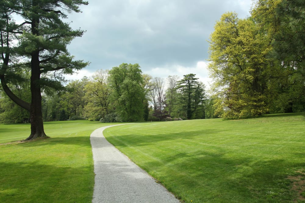 Completed pathway mix project 1