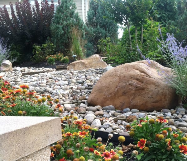 Boulder in a bed of stone mulching