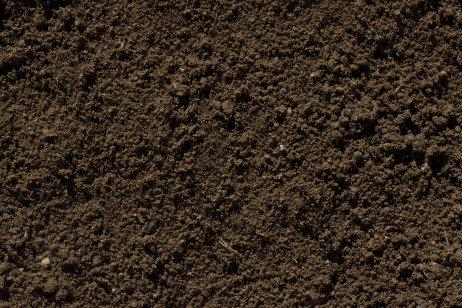 Image of Close-up of amended topsoil