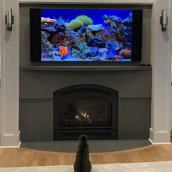 Custom Bluestone Fireplace Surround (Cat not included)