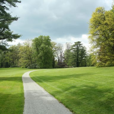 Completed pathway mix project 1