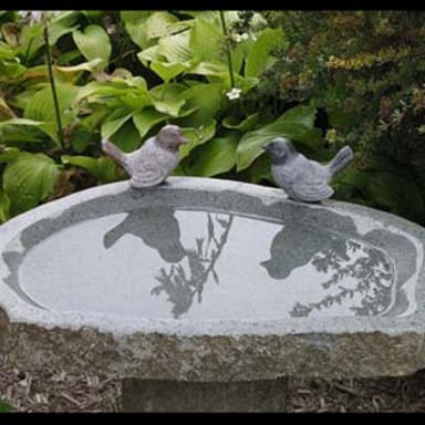 Bird Bath
