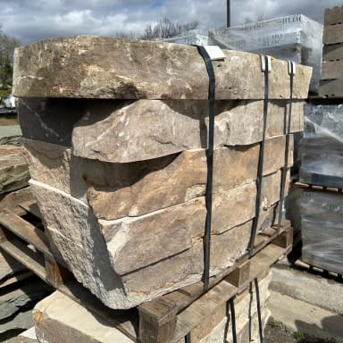 Foggy Hollow Bella Steppers