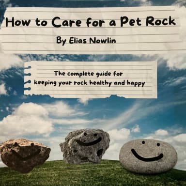 Book cover for How To Care for a Pet Rock by Elias Nowlin